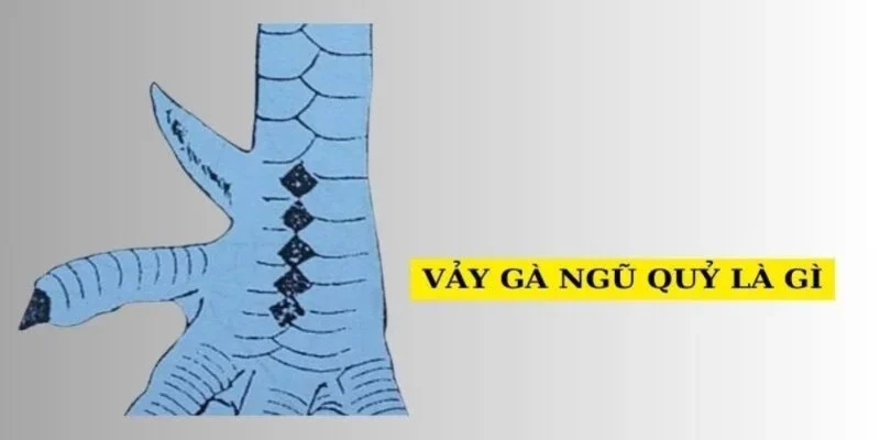 Tìm hiểu chung về loại vảy gà ngũ quỷ