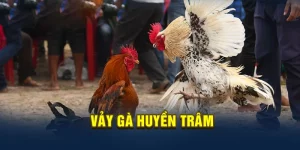 Vảy huyền trâm